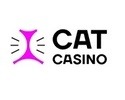 cat casino